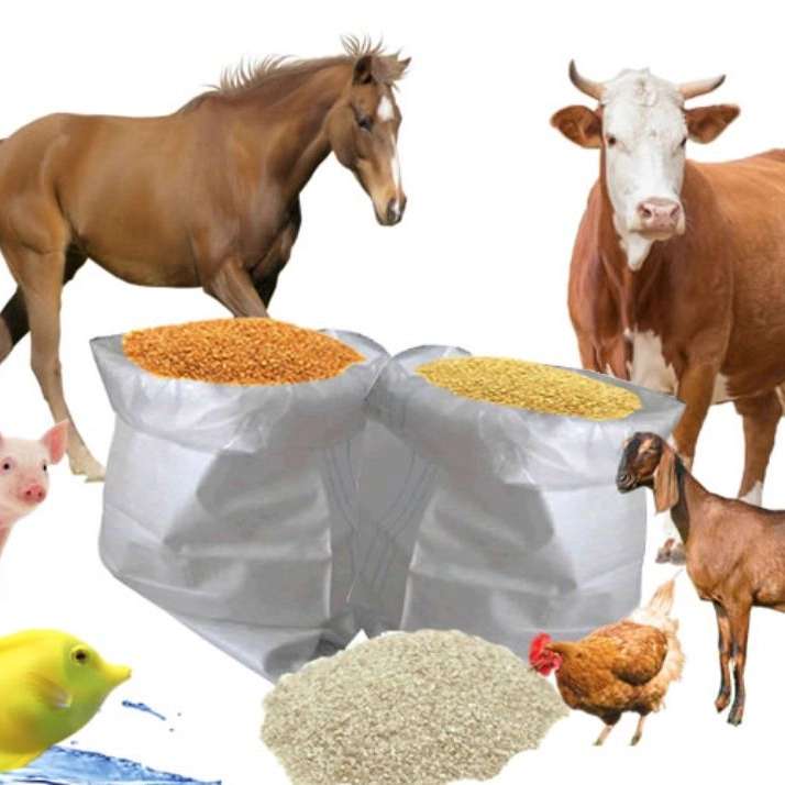 بازرگانی ممبینی