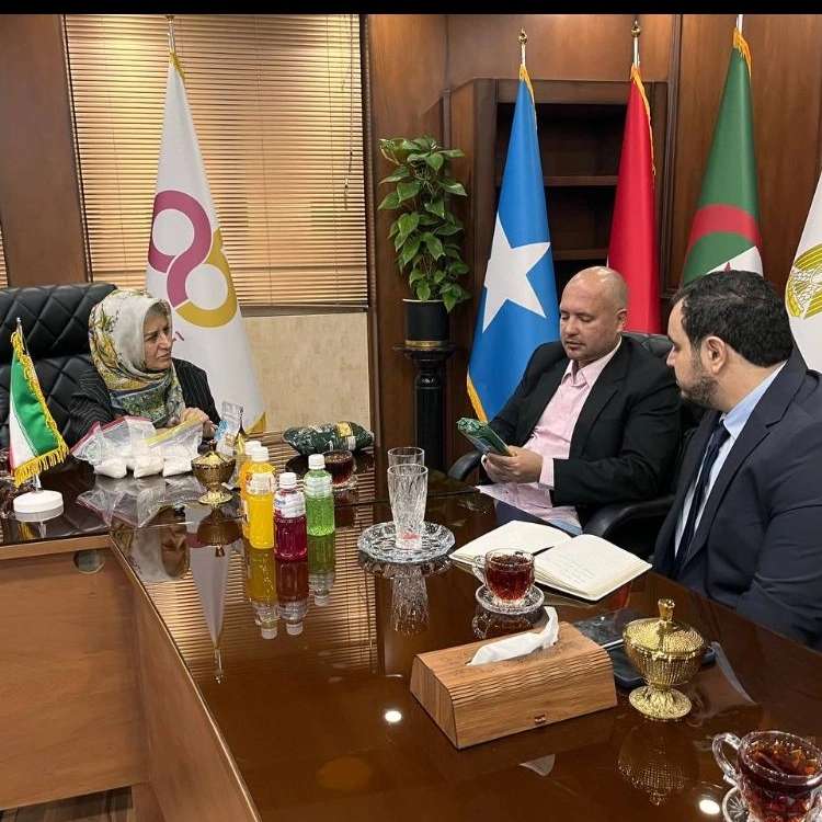 تصاویر جلسه مدیر عامل شرکت آیلید ترید  با نماینده نروژ
