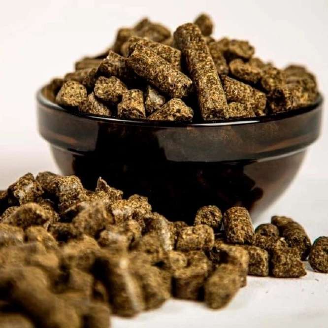فروش خوراک دام و طیور در خراسان رضوی