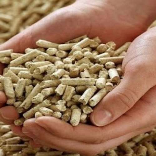 فروش انواع خوراک طیور در خراسان رضوی