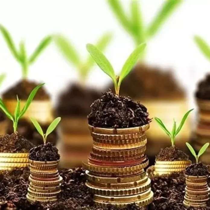 آموزش رشته های کشاورزی و خرید و فروش محصولات تولیدی
