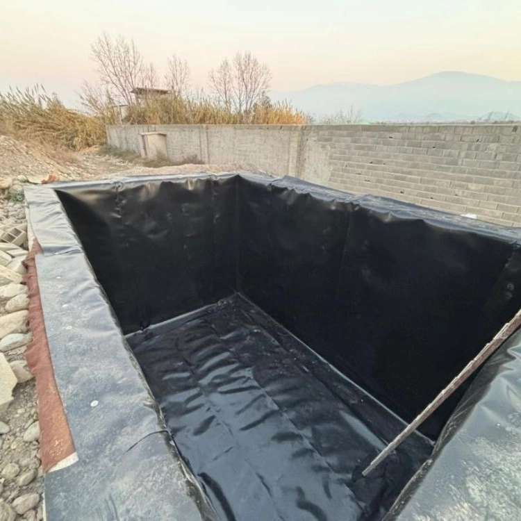 سبزینه ساز گلستان