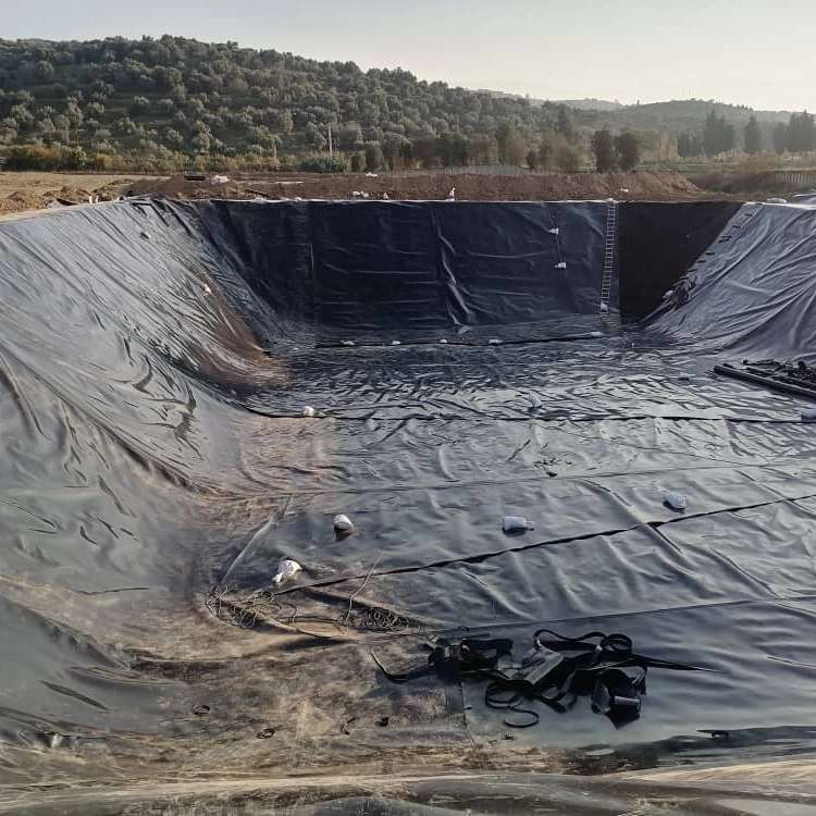 سبزینه ساز گلستان