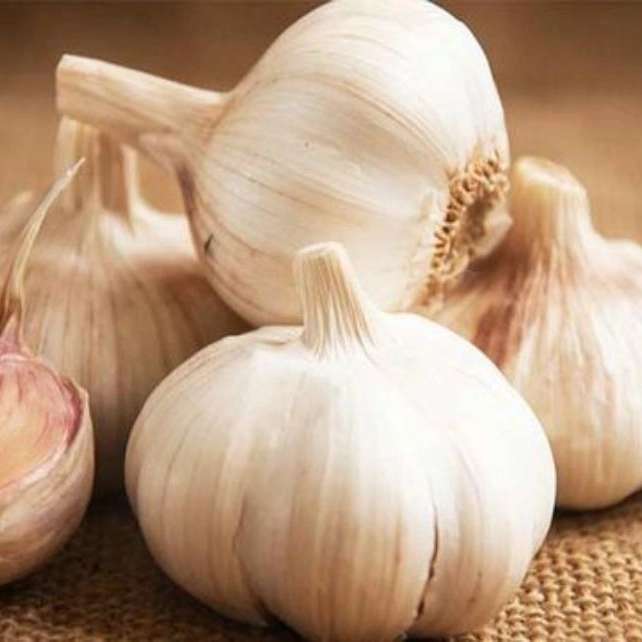 الوند کشت