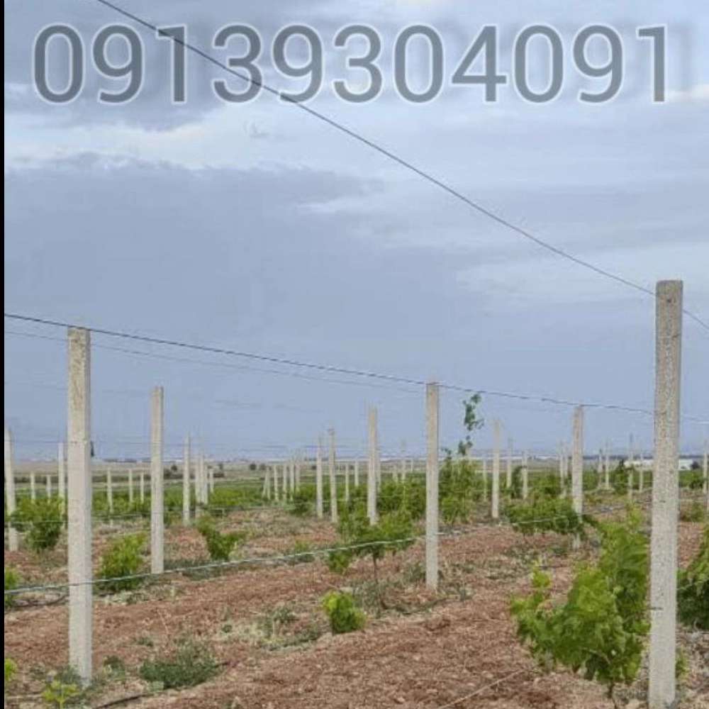 پایه بتنی پیش‌ساخته مخصوص داربست کردن مو انگور تیران اصفهان