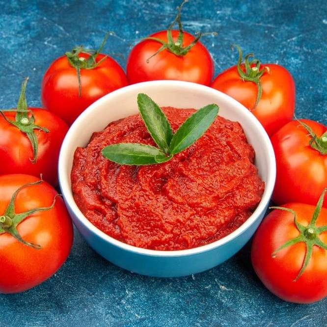 فروش انواع رب گوجه ماه با کیفیت عالی در فروشگاه شیراز