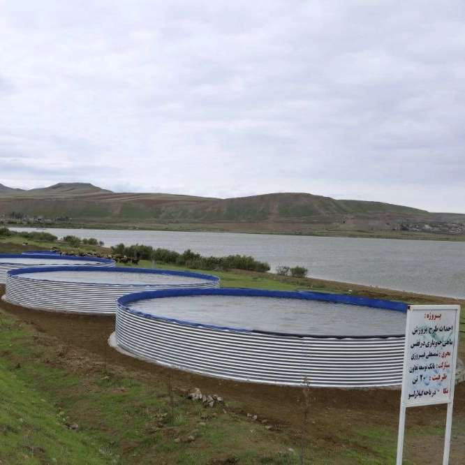 بهاران کشت و صنعت آبیار