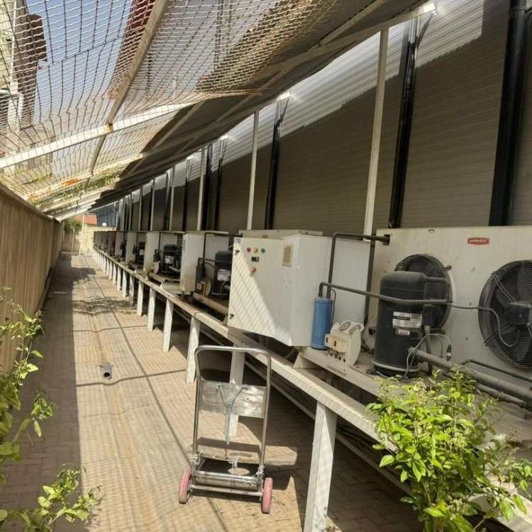 سیبری کول تبریز