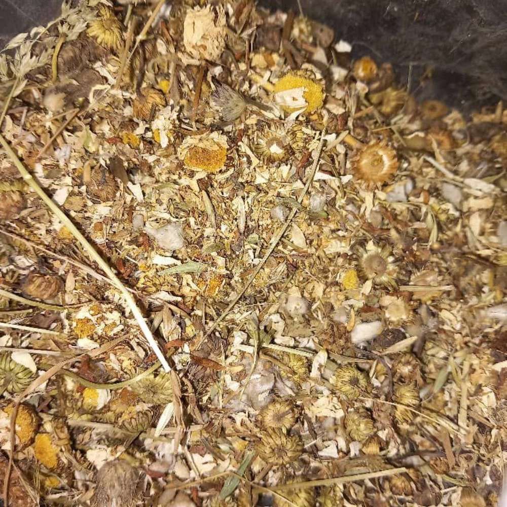 تولید پودر گیاهی دام و طیور سبزینه در مشهد