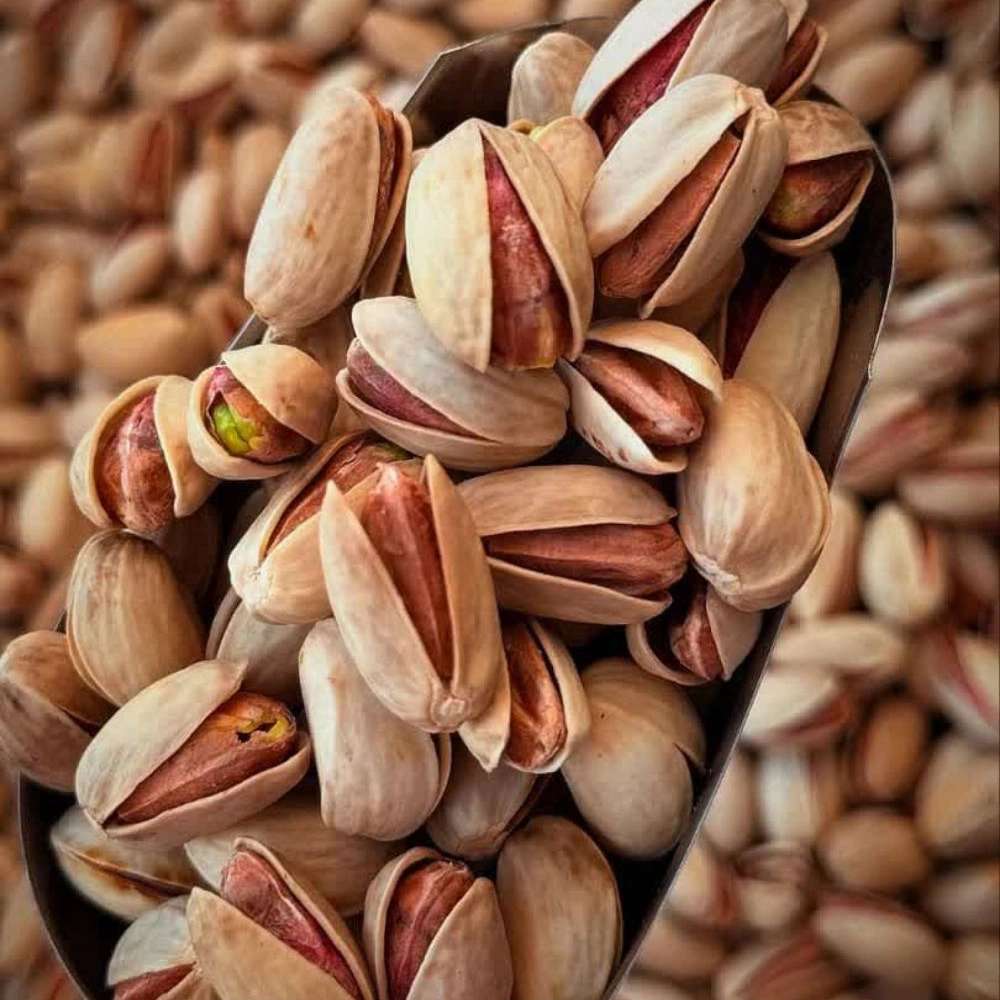 تولید و تامین پسته و خرما