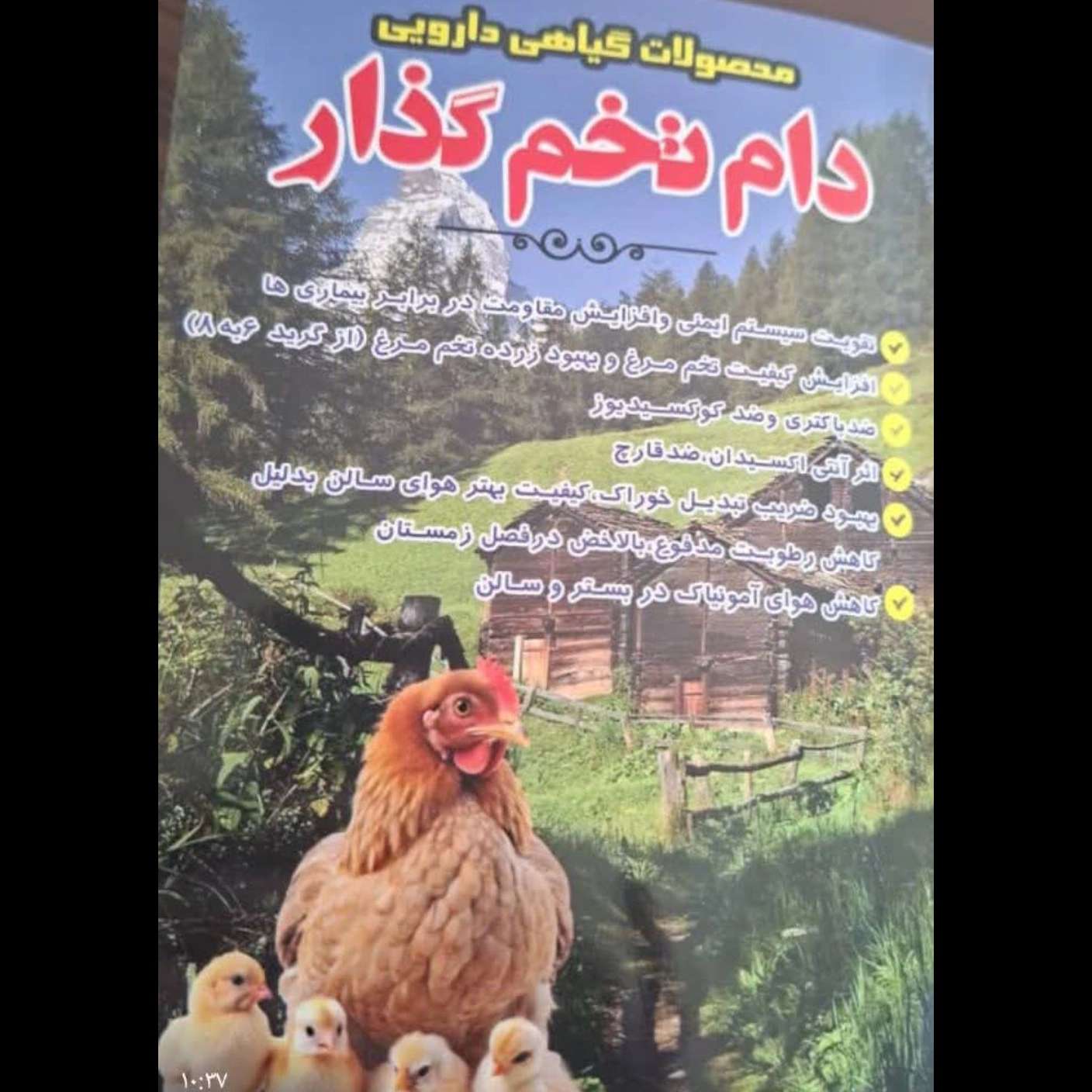 پودر گیاهی دام و طیور در مشهد