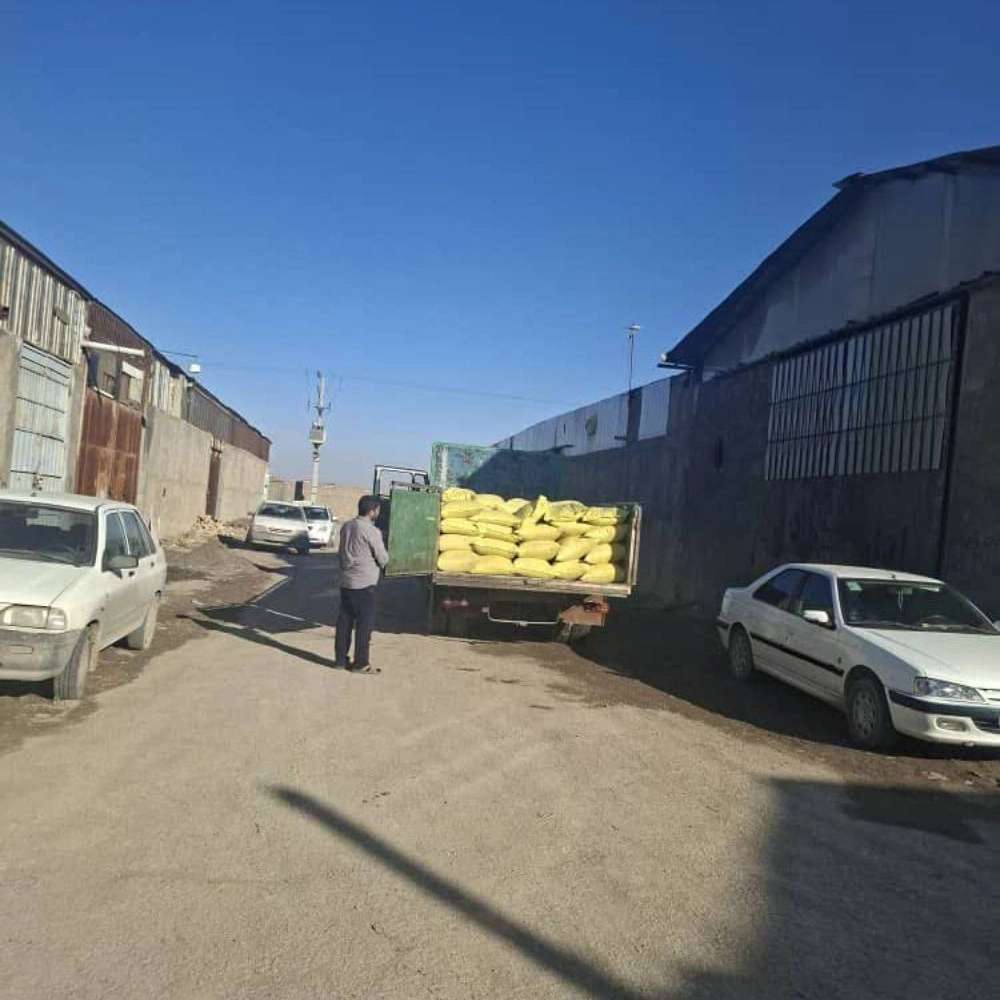 جایگزین طبیعی مکمل شیمیایی دام