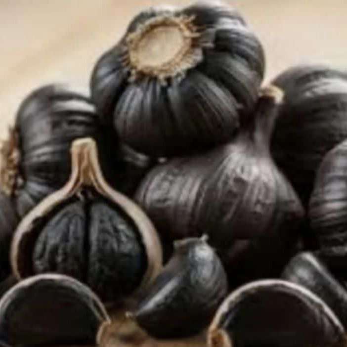 سیر سیاه