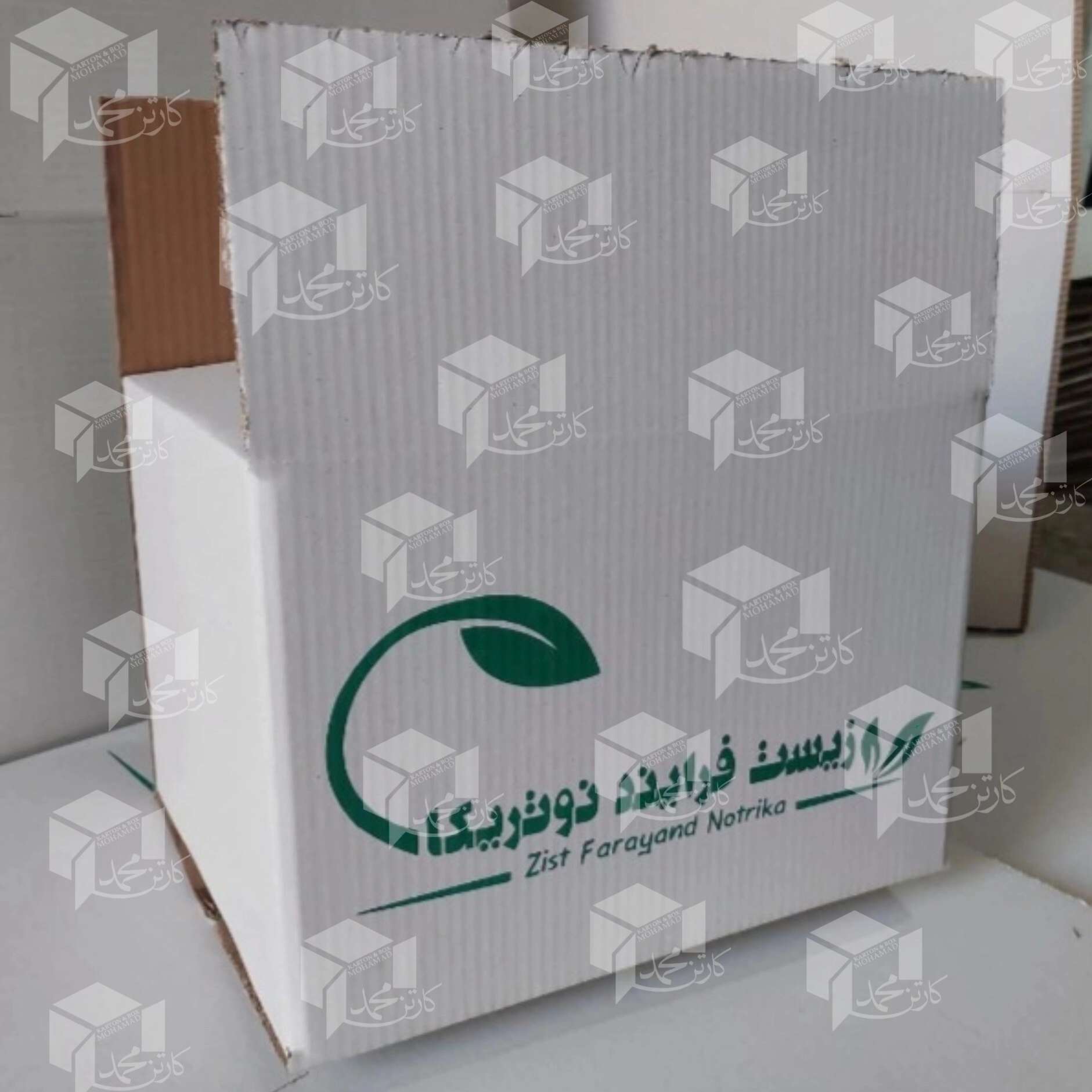 1790068287633.webp