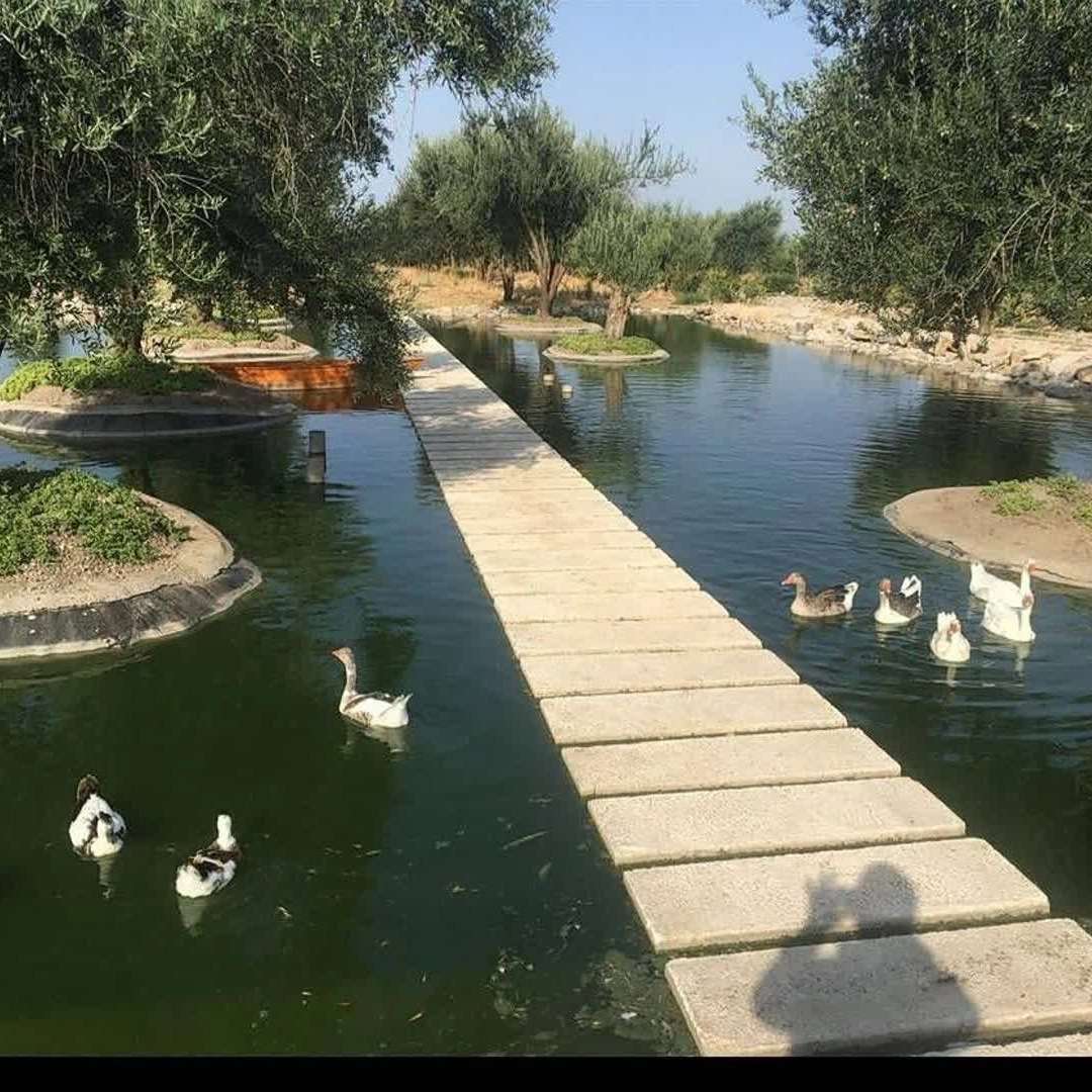 احداث و آب‌بندی استخر پرورش ماهی با ژئوممبران در حومه تهران