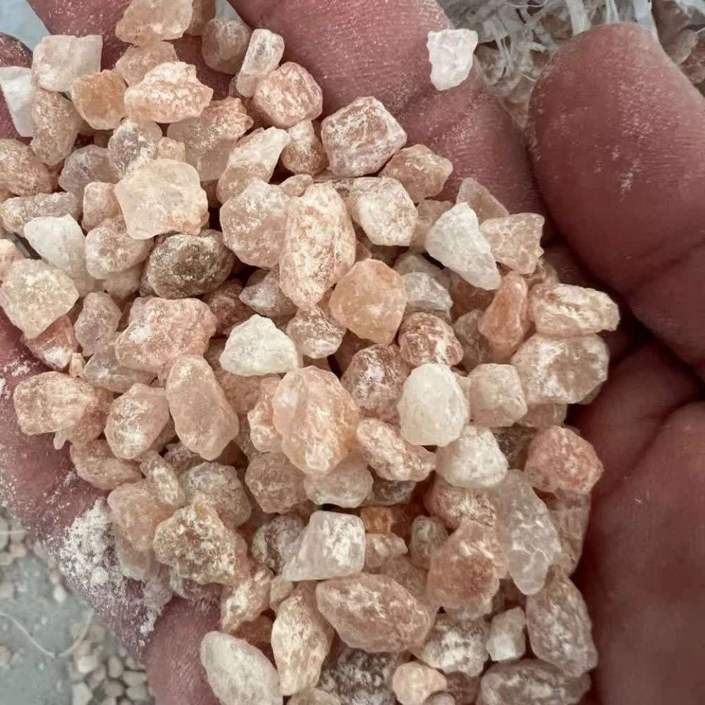 صادرات نمک دریا