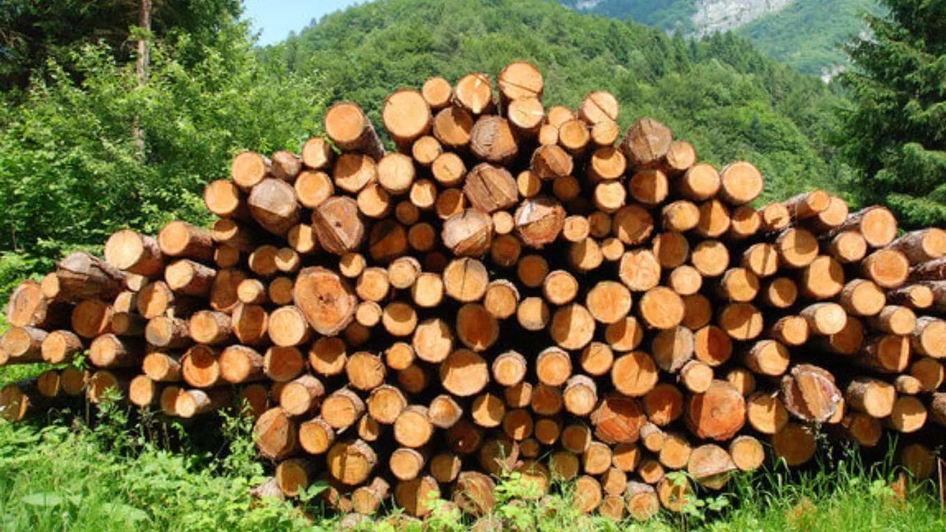 Kahraman köyü