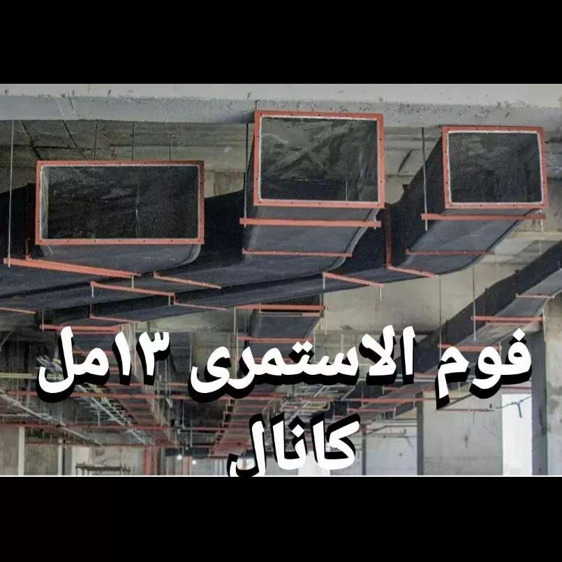 1690795293988.webp