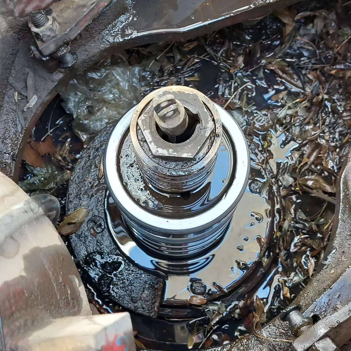 1691494382441.webp