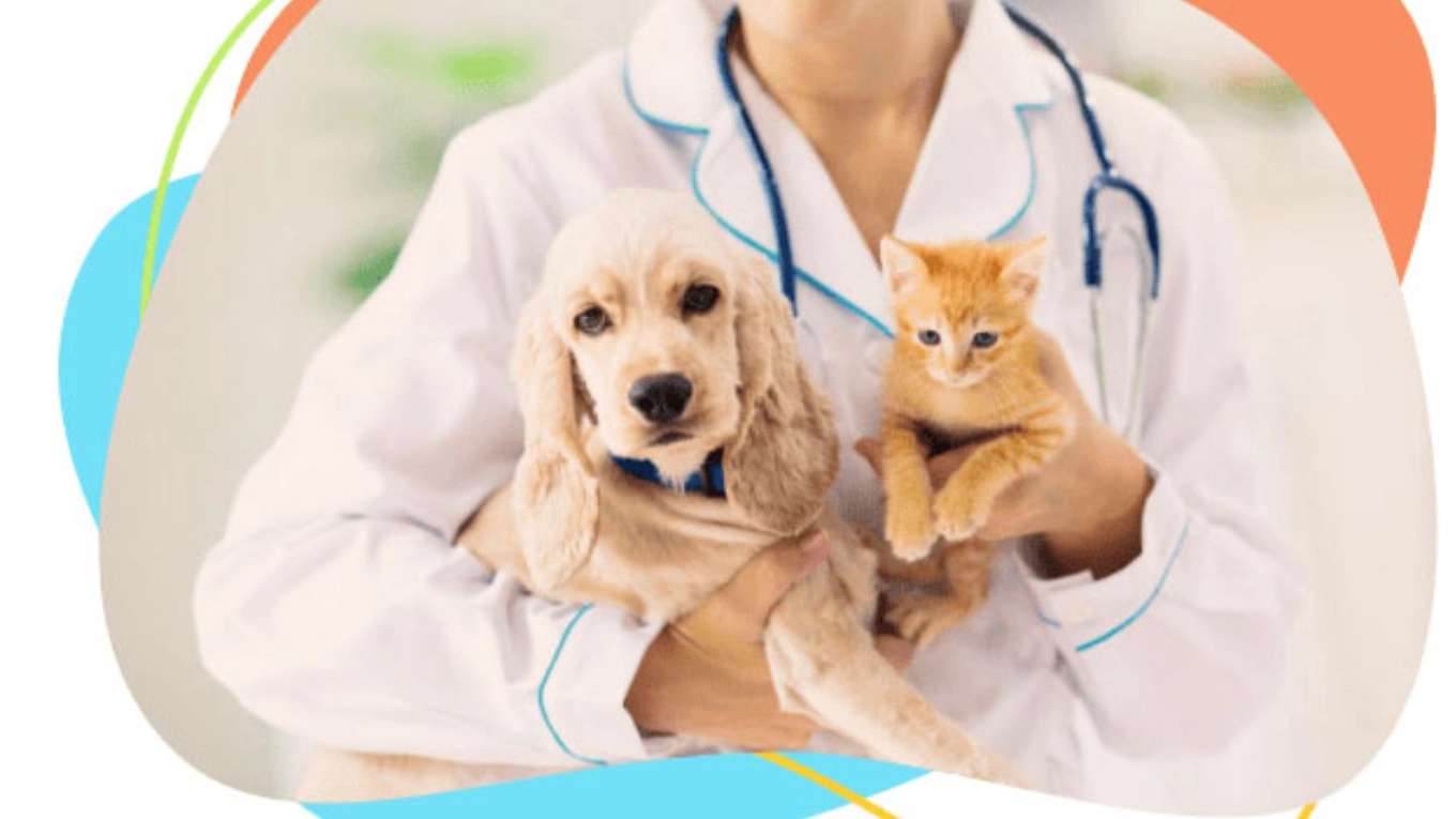Veterinary Clinic