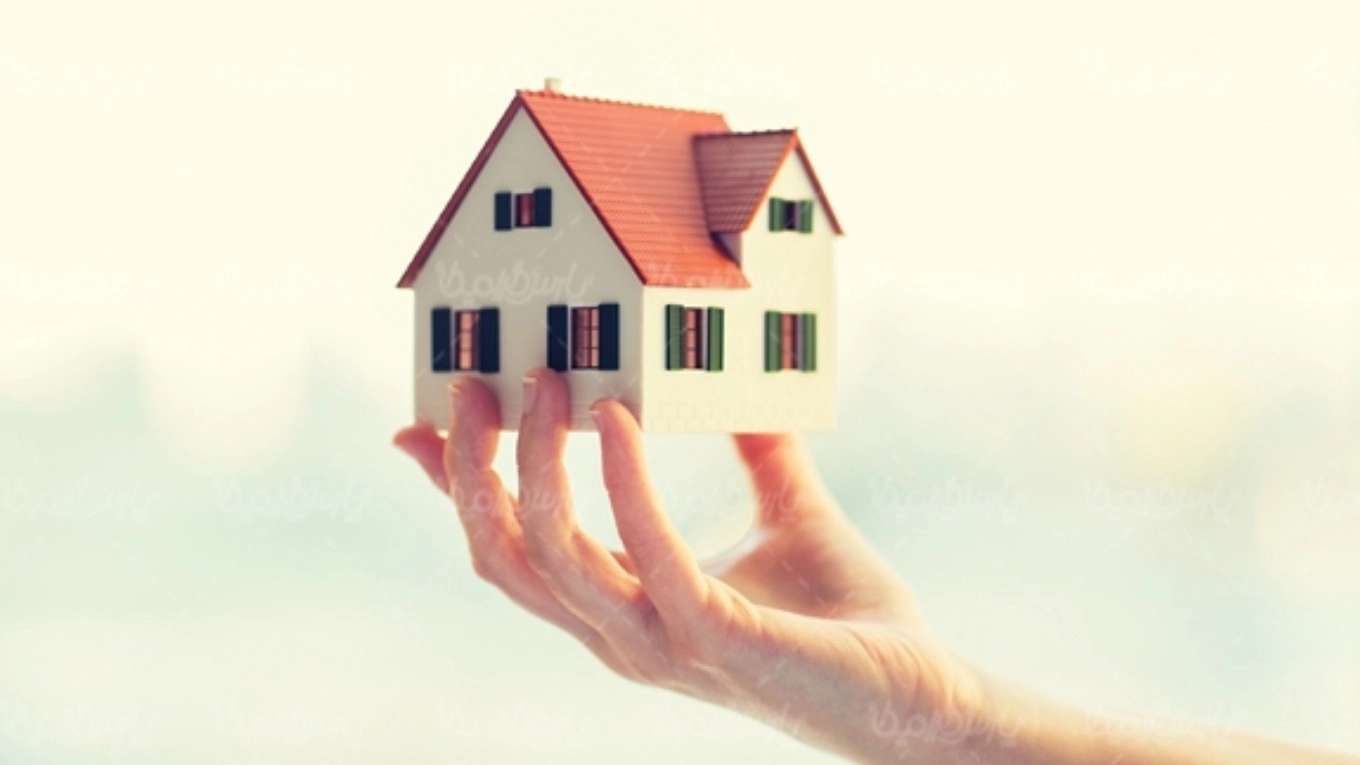 Alborz real estate consultants