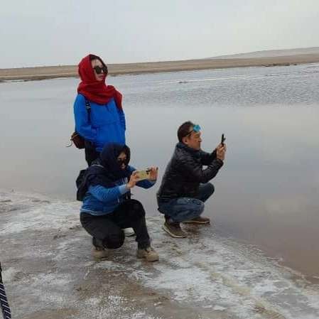 1693028350169.webp