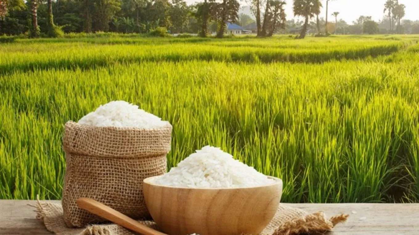 صدقات بورصة الأرز