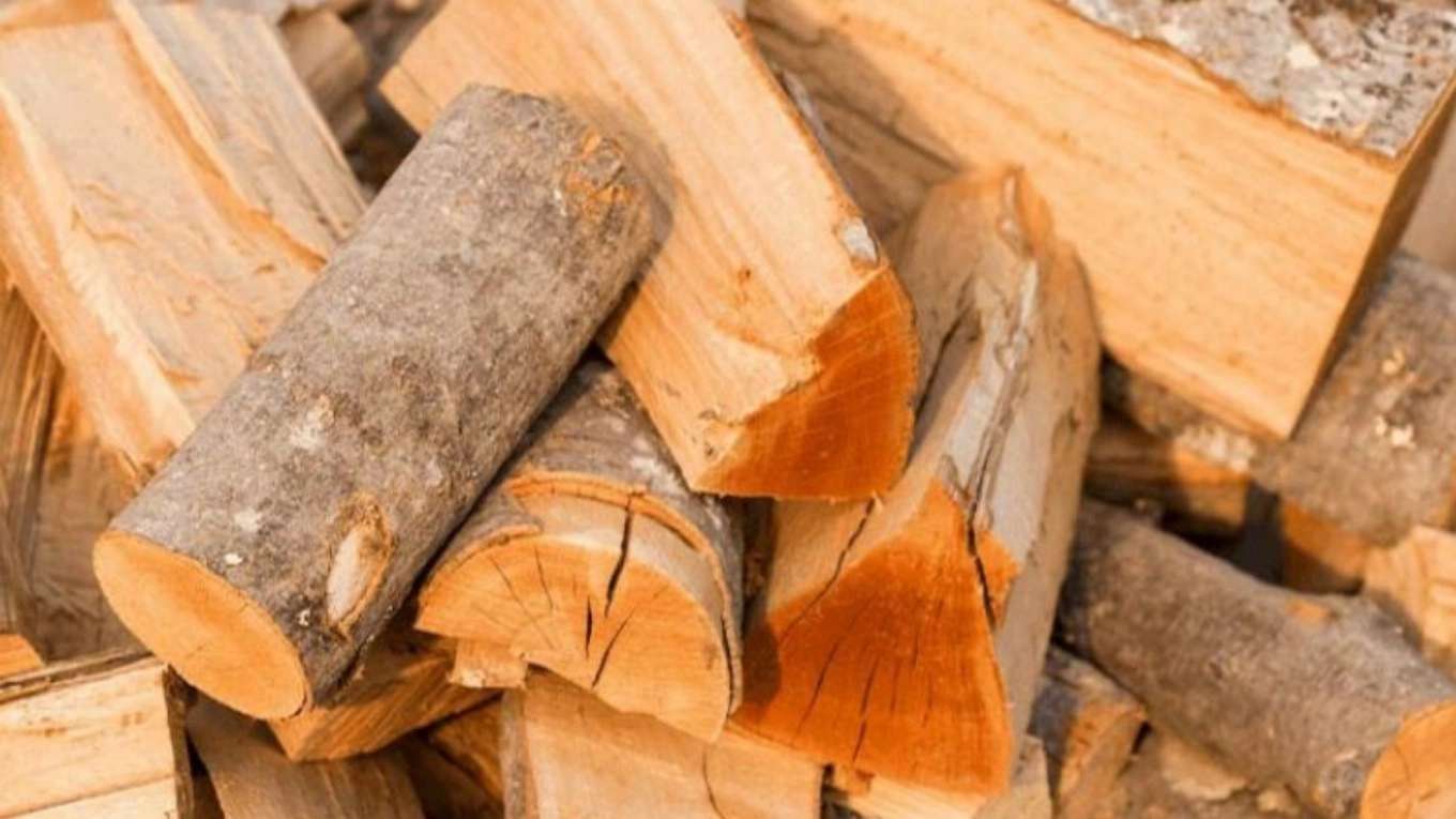 Alder wood industry