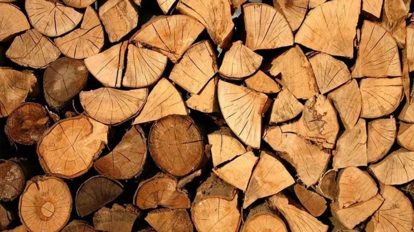 Alder wood industry