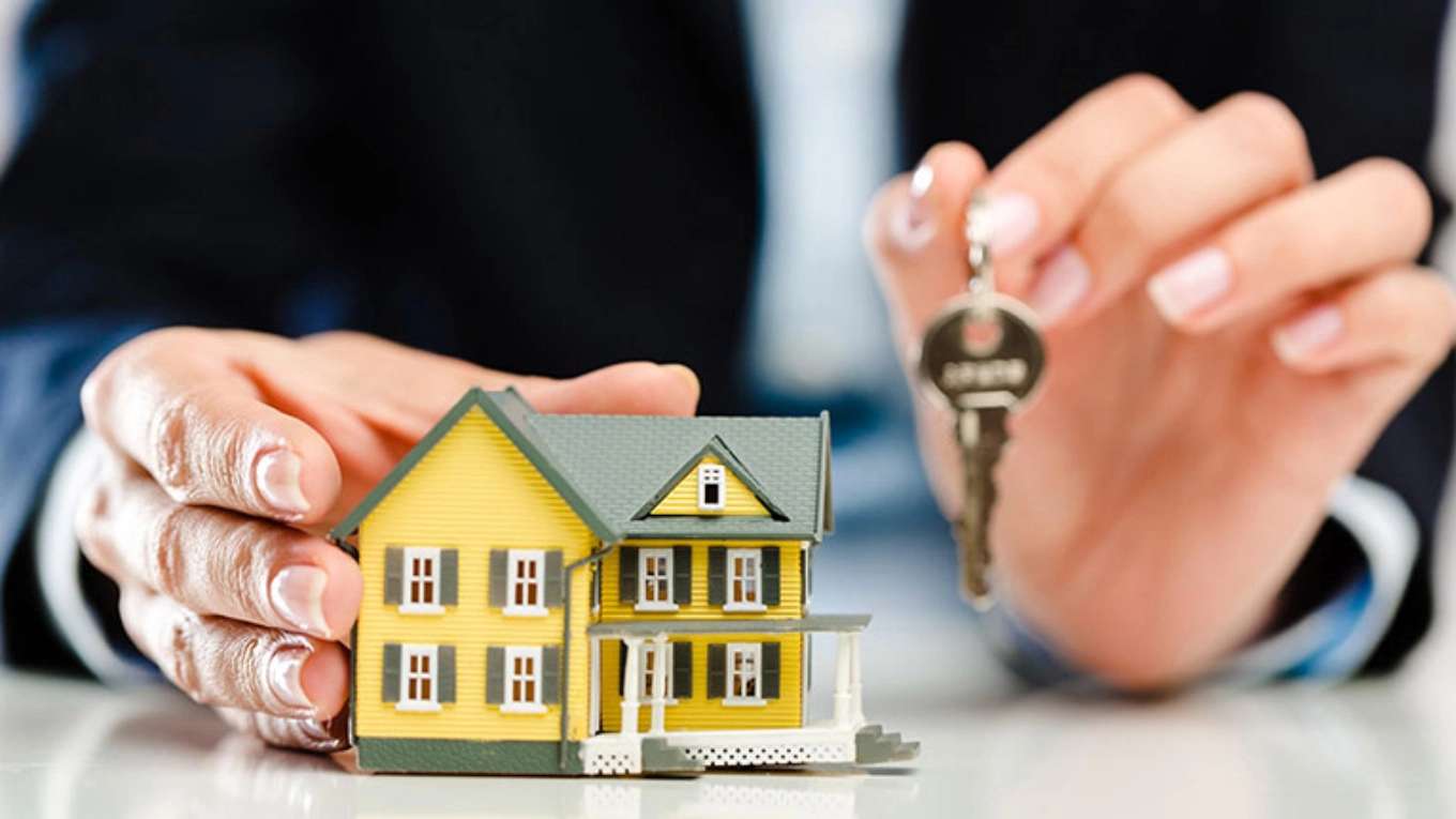 Alborz real estate consultants