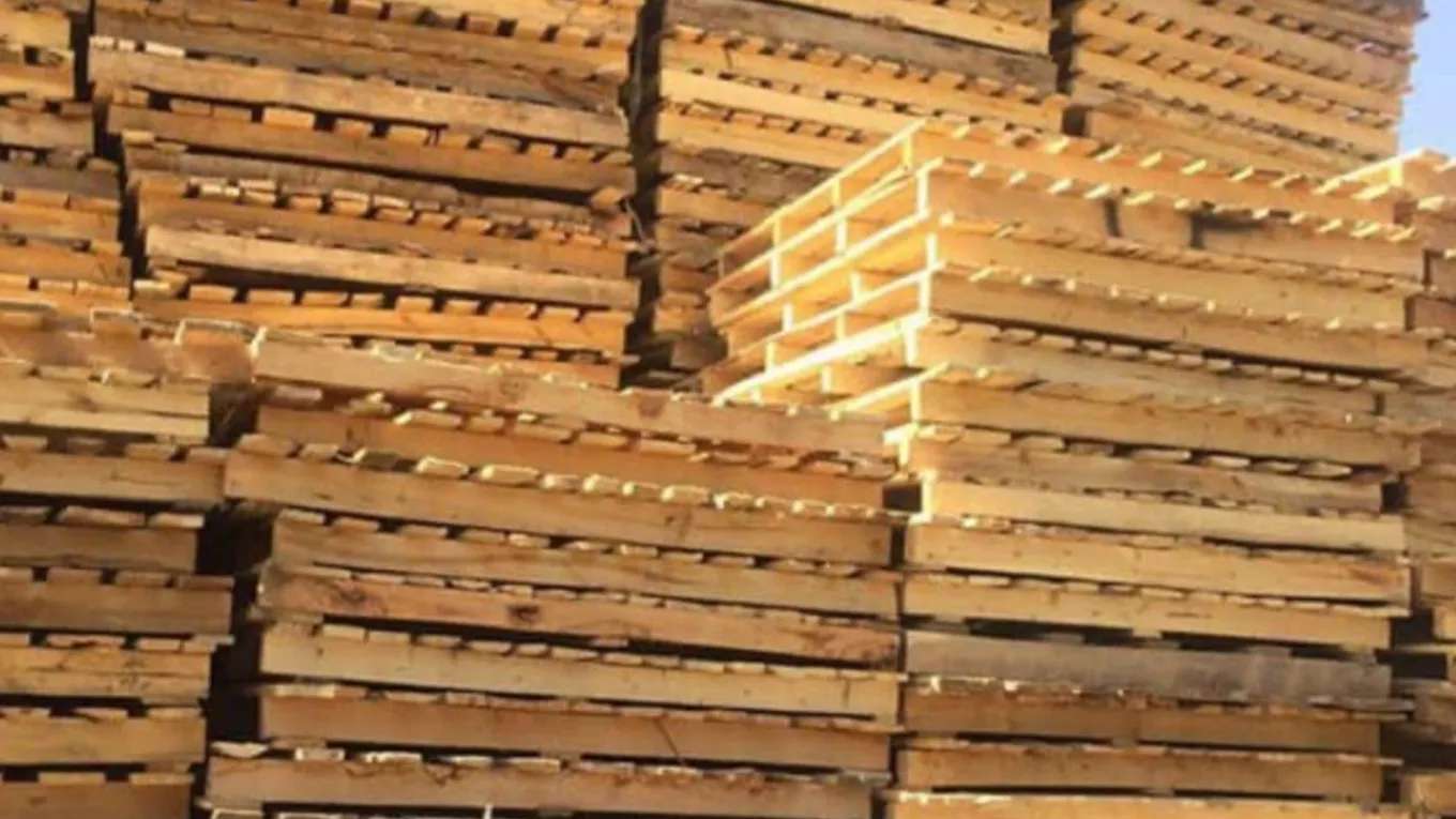 Kamkar palet ve ahşap fabrikası