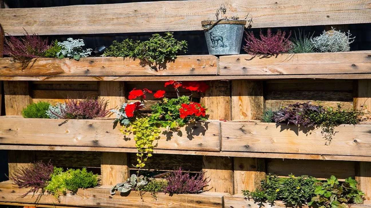 Kamkar palet ve ahşap fabrikası