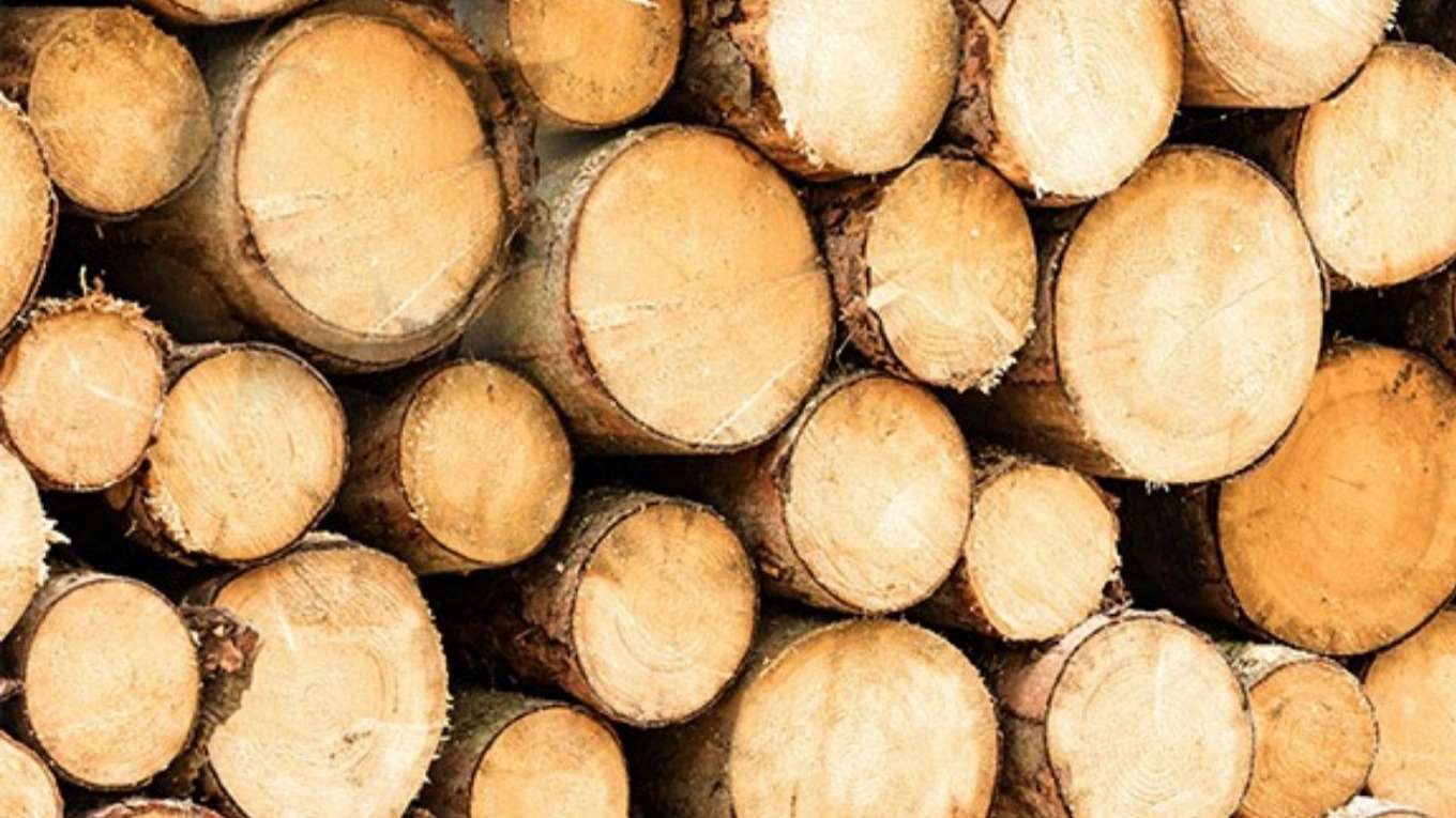 Pars Decor Wood Industries