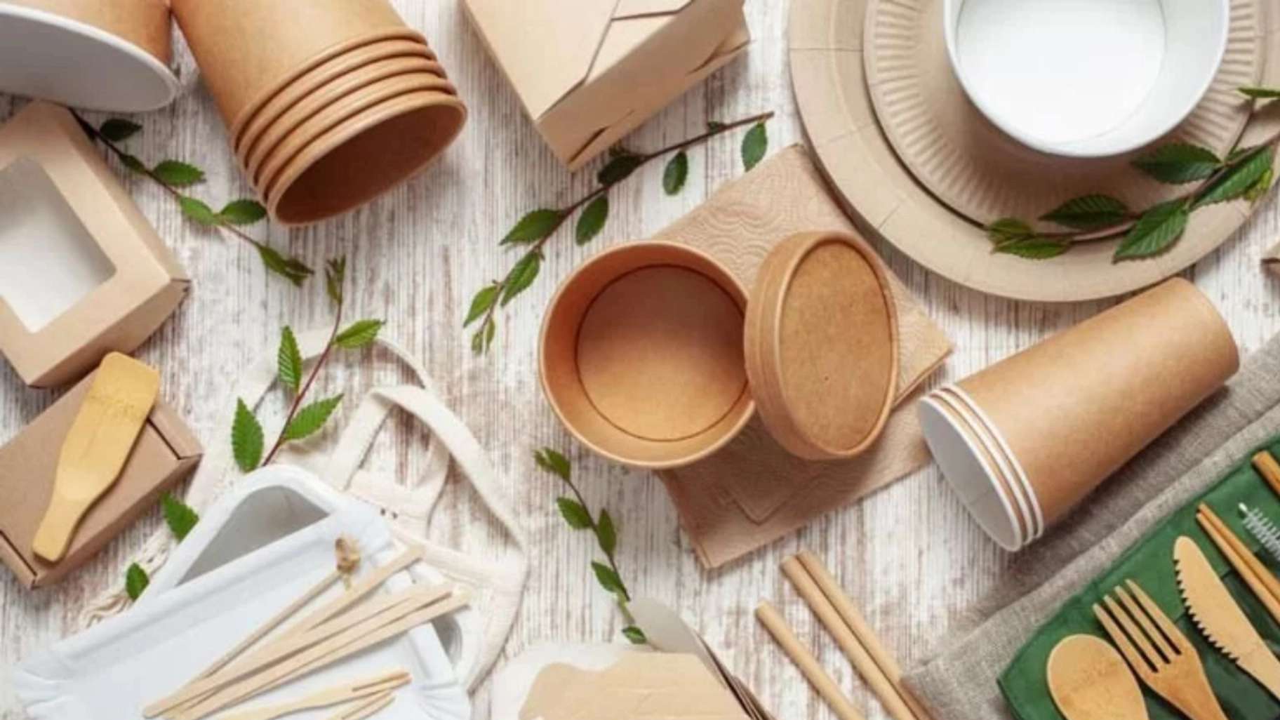 Sahel Plast disposable dishes