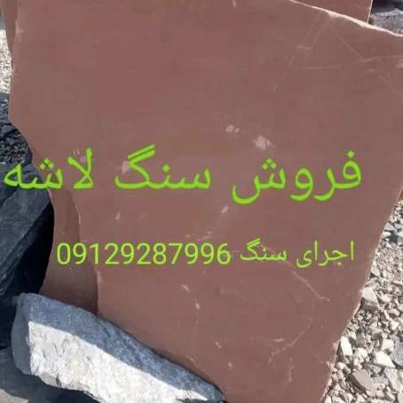 1696923569032.webp
