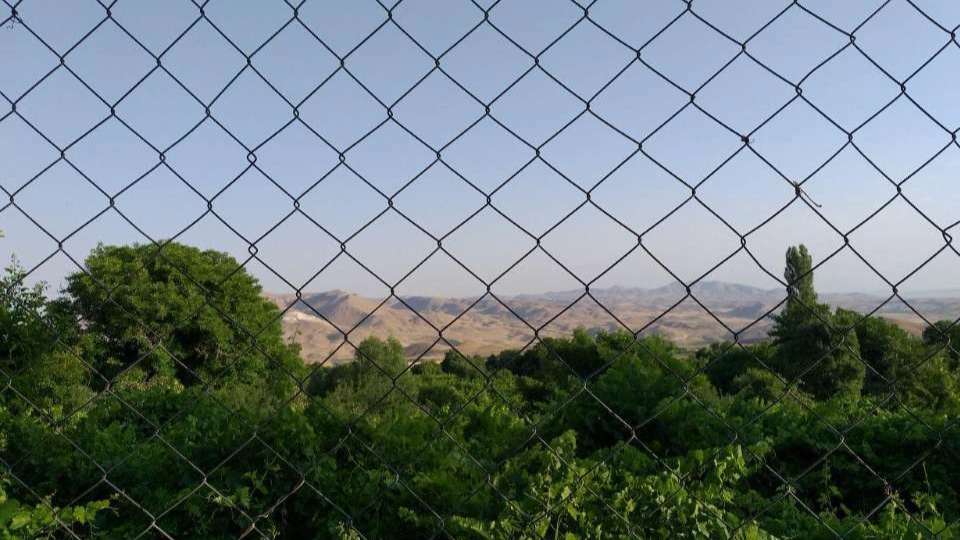 Fens Shahvar Ameri