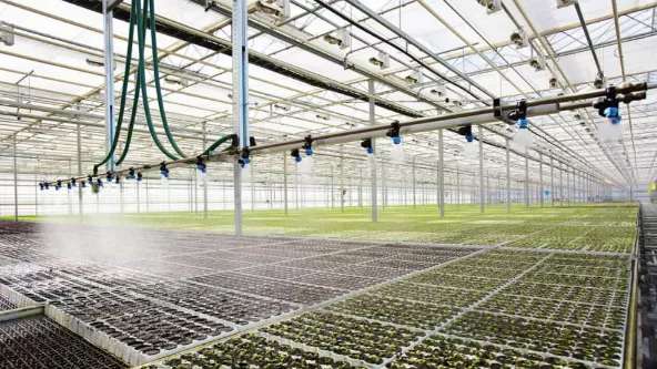 Arka Tejarat greenhouse equipment