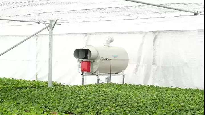 Arka Tejarat greenhouse equipment