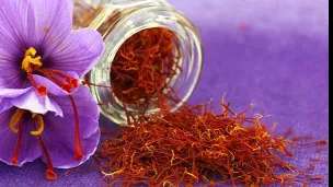 Supply and sale of bright saffron