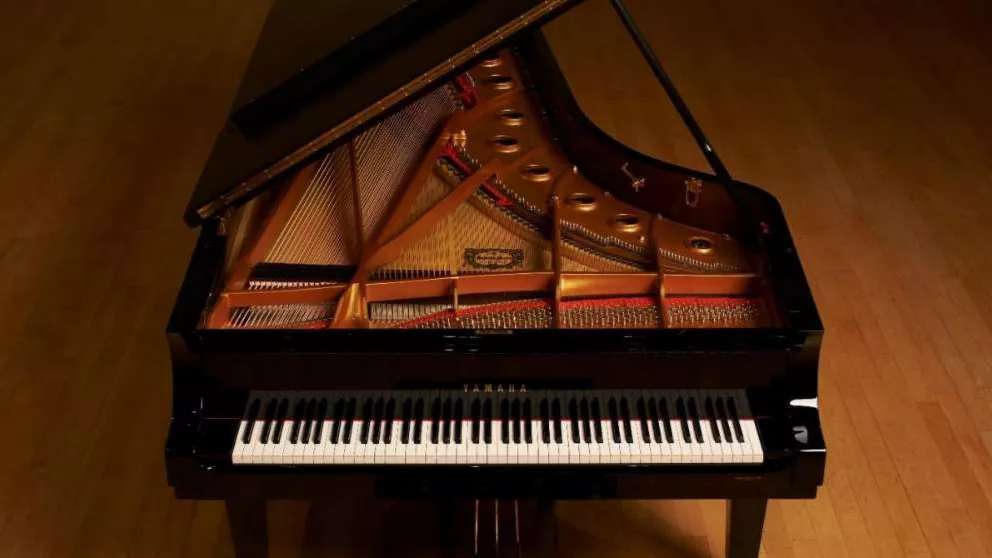 سعيدة غولزار، خبيرة تقنية في العزف على البيانو