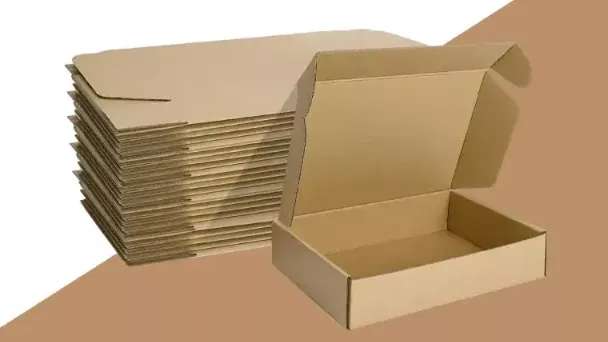 Arian cardboard factory