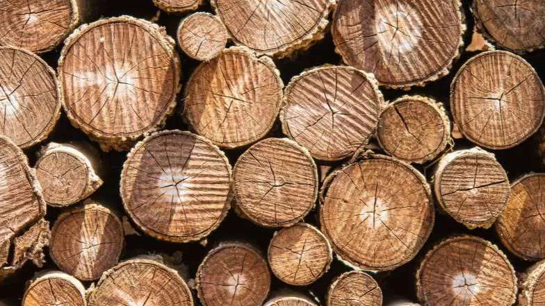 Gilako wood industries