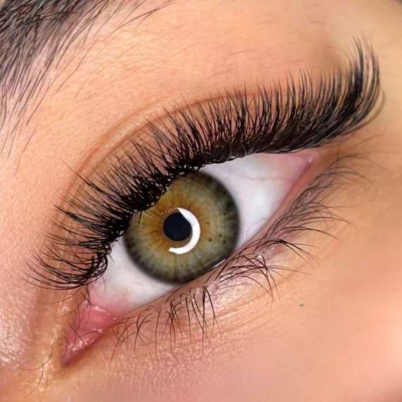 1697627645182.webp