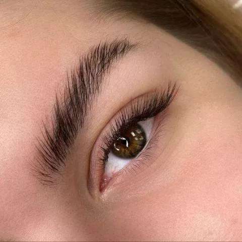 1697627714827.webp