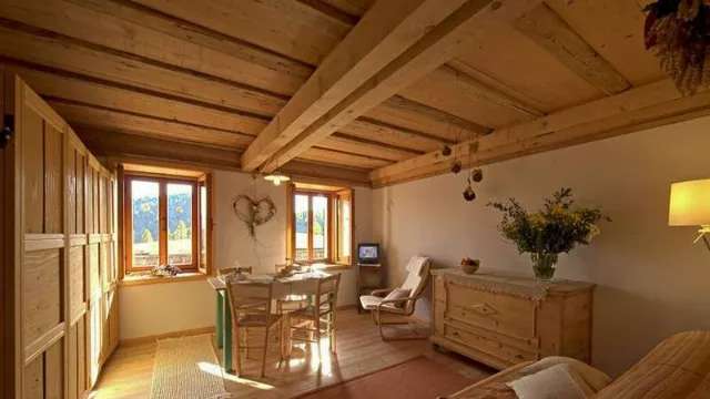 Artiko wood house