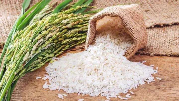 أرز مطحون عمودياً