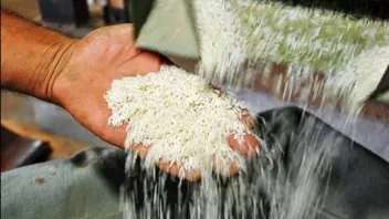 أرز مطحون عمودياً
