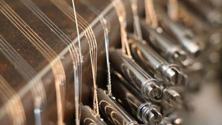 Moazzami's musical instruments