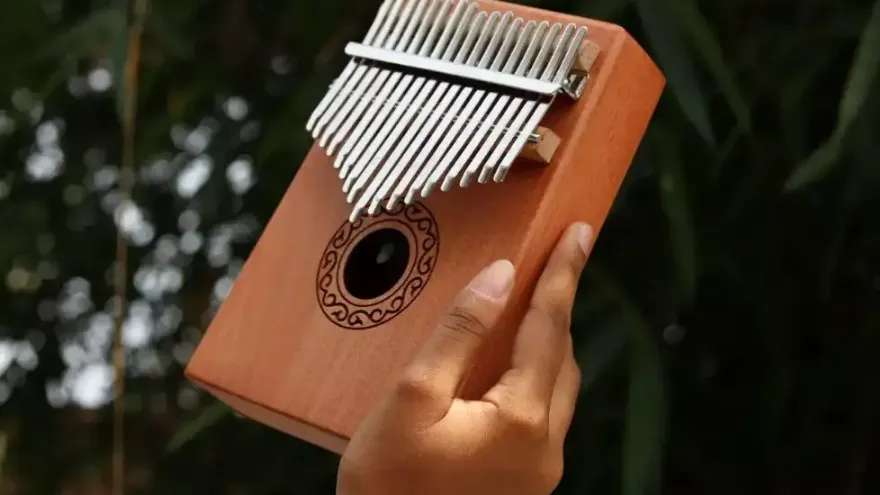 Moazzami's musical instruments