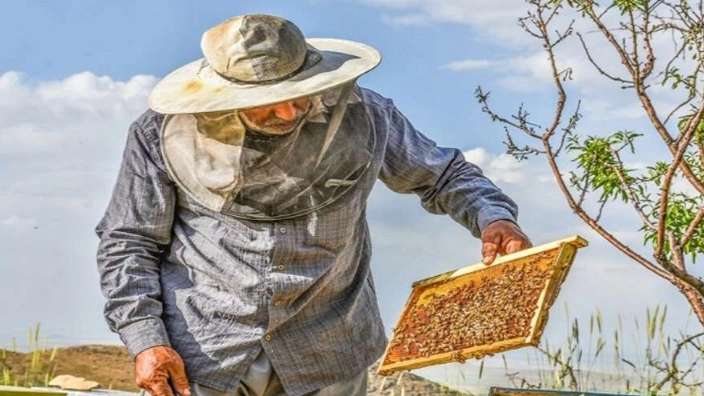 Beekeeping equipment